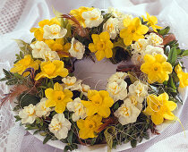 Plate wreath of box twigs, daffodil 'Quail' yellow, 'Cheerfulness'