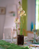 Scented decoration made easy (3/3)