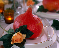 Cucurbita (Hokkaido squash), Rosa (rose), Hedera (ivy)