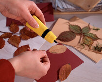 Pressing flowers and leaves, homemade greeting cards (3/4)