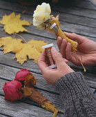 Bottle in leaf dress (3/6). Rosa (roses) in a water tube, with Acer (maple foliage).