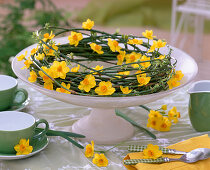 Wreath of jasmine tendrils with daffodils