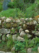 Mauer aus Natursteinen (Teichsteine)