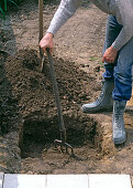 Planting an apple tree: 2/10