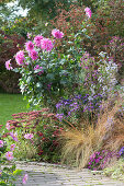 Autumn bed with perennials, grasses and dahlia