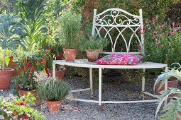 Gravel terrace with herbs and vegetables