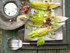 Romaine lettuce with Roquefort, buttermilk and celery