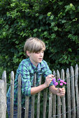 Boy holding posy of asters leaning over fence