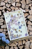 Tray decorated with pressed hydrangeas flowers in front of stacked firewood