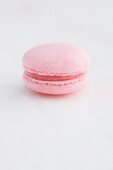 Cherry macaron