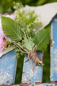 Posy of peony flower, ladies' mantel and beech leaves tied with cord