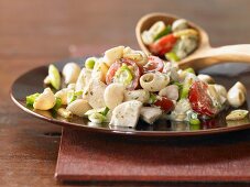 Noodle salad with chicken, pine nuts and basil in pesto