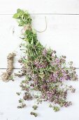 Bunch of flowering oregano