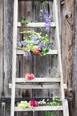 Blumen aus dem Bauerngarten auf einer Holzleiter