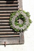 Kranz mit Strandflieder und Buchs am Fensterladen