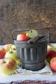 Bowls of apple sauce in an old casserole tin