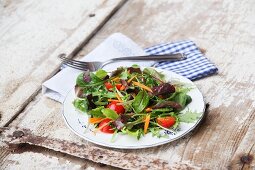 Kleiner Salat mit würzig-frischer Schnittlauchvinaigrette