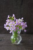 Sträußchen aus Wiesenschaumkraut in einer Glasvase