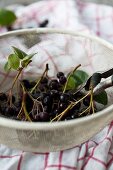 Aronia berries in a sieve