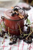 Aronia berries with an enamel pot and a cinnamon stick