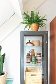 Fern on top of display cabinet with collection of old vases from the 50s