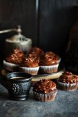 Chocolate cupcakes with buttercream and coffee