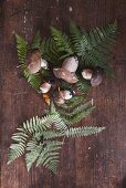 Fresh porcini mushrooms with fern leaves on a wooden background