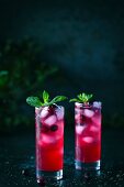 Two glasses of Cranberry and Mint Rum Punch with mint garnish and ice are displayed in a dark background