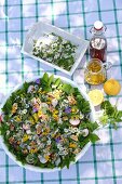 Wildkräutersalat mit Nüssen und selbst angesetzte Limonade