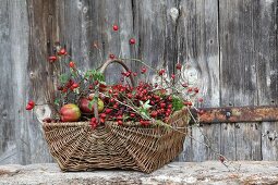 Herbstlich dekorierter Weidenkorb mit Hagebutten, Moos und Äpfeln vor Bretterwand