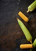 Corn on a metal background