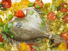 John Dory fish oven cooked on a bed of tomatoes