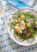 Salat mit Smoothie, Kartoffeln, Ei und Thunfisch