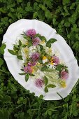Blüten-Potpourri auf weisser Porzellanplatte im grünen Klee