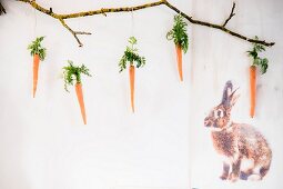 An Ast aufgehängte Karotten mit Karottengrün neben aufgedrucktem Hasenmotiv
