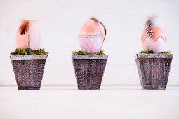 Three Easter eggs decorated with feathers bedded in moss in plant pots