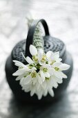 Posy of snowdrops on top of black Oriental teapot