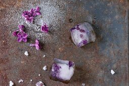 Gezuckerte Fliederblüten und Eiswürfel mit lila Fliederblüten