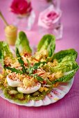 Crayfish salad with fruit and egg
