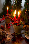 Moss, candles and holly berries held in terracotta pots with wire