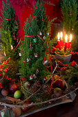 Christmas arrangement of terracotta pot, moss, four candles, holly and conifer branches