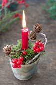 Christmas arrangement of moss, candle, holly and larch cones in clay pot