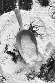 Flour with a flour scoop on a dark background
