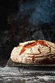 Freshly baked bread cooling on a wire rack