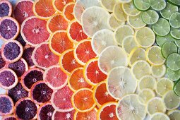 Brightly coloured citrus fruit slices in rows