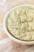 Over-fermented dough