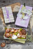 Card gift boxes, flower bulbs and paper flowers