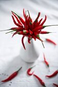 Fresh chillies in a vase