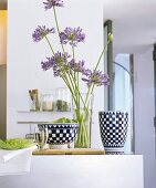 Vase of Agapanthus between chequered ceramics