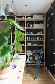 Old stepladder in front of crockery on simple wooden shelves